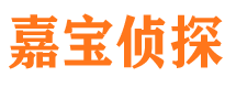 平川市侦探调查公司